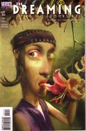The dreaming (1996) -44- Trinket (1): homesick