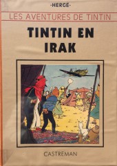 Tintin - Pastiches, parodies & pirates -29TL- Tintin en Irak