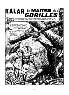 Extrait de Kalar (Impéria) -3- Le maître des gorilles