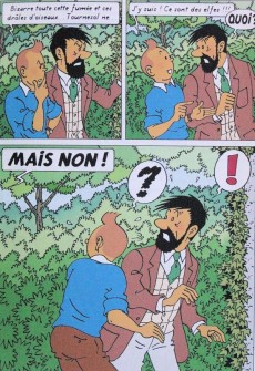 Extrait de Tintin - Pastiches, parodies & pirates -2009- Les Elfes de Moulinsart