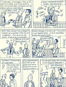 Extrait de Tintin - Pastiches, parodies & pirates -2004- Tintin contre Kuifje