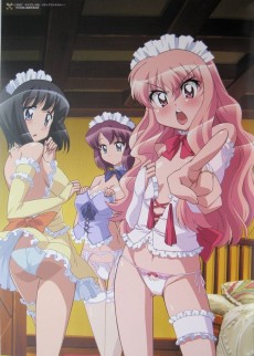 Extrait de Zero no Tsukaima - The familiar of 