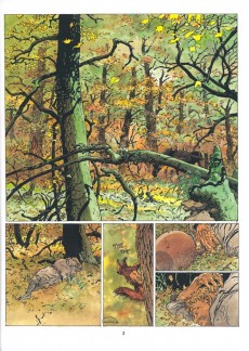 Extrait de Les tours de Bois-Maury -10b2008- Olivier