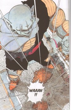 Extrait de Dragon Ball (Perfect Edition) -13- Tome 13