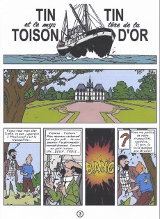 Extrait de Tintin - Pastiches, parodies & pirates -c2000- Tintin et le mystère de la toison d'or