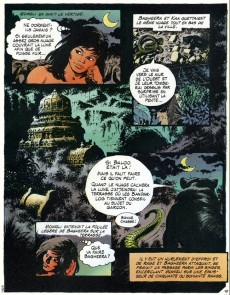 Extrait de Les bd Blocs de Pif -RC682- La Cité des singes