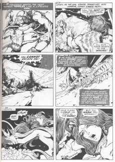 Extrait de The savage Sword of Conan (intégrale Dark Horse) -INT01- Volume One