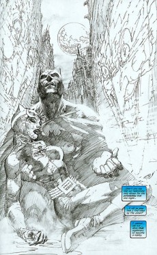 Extrait de Batman Vol.1 (1940) -INTa- Hush - Unwrapped
