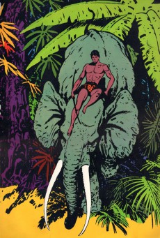 Extrait de Tarzan (Delpire) - Tarzan