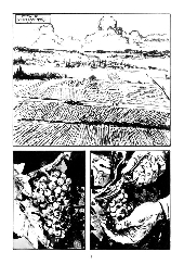 Extrait de Un ver dans le fruit - Tome a2013