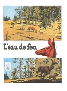Extrait de Buddy Longway -8a1979- L'eau de feu