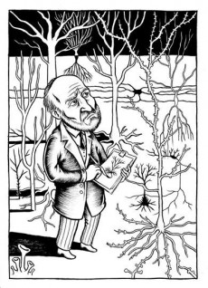 Extrait de Neurocomix - Voyage fantastique dans le cerveau
