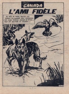 Extrait de Jim Canada (Impéria) -202- L'ami fidèle
