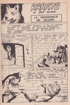 Extrait de Karaté (Jeunesse et Vacances) -26- La vengeance de jenar