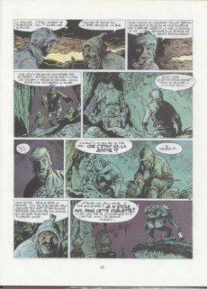 Extrait de Bernard Prince -11b1989- La forteresse des brumes