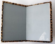 Extrait de (AUT) Benoit, Ted -1985 TT2- La peau du léopard