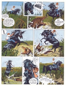 Extrait de Étalon noir (Les aventures de l') -1- L'étalon Noir