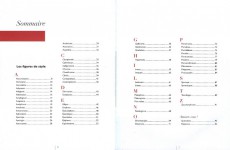 Extrait de (AUT) Plantu -2012a- Les figures de style illustrées par des dessins de Plantu