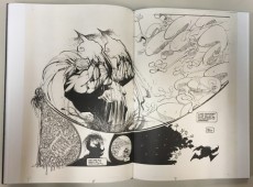Extrait de Artist's Edition (IDW - 2010) -36- Sam Kieth's The Maxx - Artist's Edition