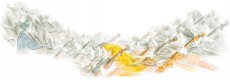 Extrait de (AUT) Ise - 1000 vents, 1000 violoncelles
