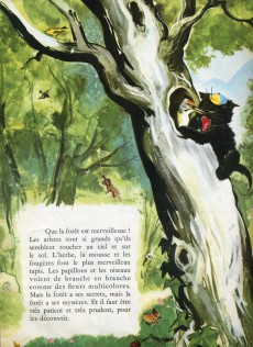 Extrait de [NON BD] Caroline -6- Les vacances de Caroline