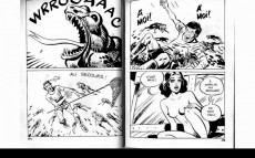 Extrait de Satarella -14- La fureur du paradis