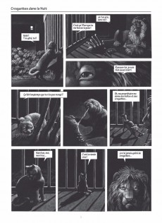 Extrait de Le chat qui n'aimait pas les Croquettes - Nuits blanches