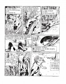 Extrait de Faune (Aristophane) -a2016- Faune ou l'histoire d'un immoral