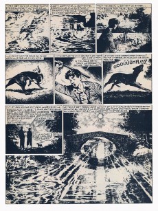 Extrait de Tim et Tom (Artima) -3- Le chien noir