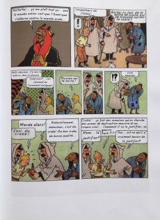 Extrait de Tintin - Pastiches, parodies & pirates -29TL- Tintin en Irak