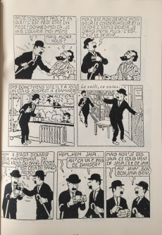 Extrait de Tintin - Pastiches, parodies & pirates - Les 7 boules de cristal