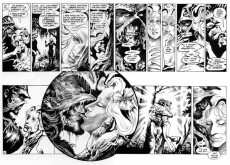 Extrait de Swamp Thing Vol.2 (DC Comics - 1982) -INT01- Swamp Thing Volume One