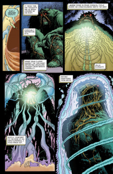 Extrait de Swamp Thing Vol.4 (DC comics - 2004) -10- (sans titre)