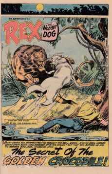 Extrait de Tarzan (1972) -233- Tarzan and the Lion Man Part Three