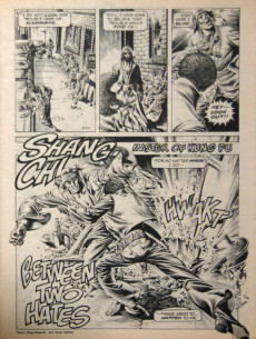 Extrait de The deadly Hands of Kung Fu (1974) -33- Between Two Hates