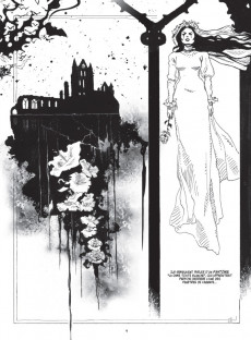Extrait de Dracula (Bess) - Dracula