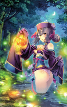 Extrait de Koihime Musou -TL- The Art of Koihime Musou - Chronicle