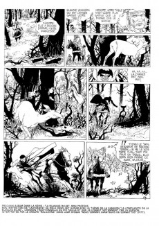 Extrait de Castel Armer -1TL- La geste du temple