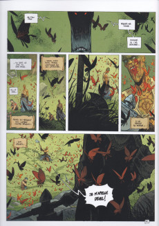 Extrait de La quête de l'oiseau du temps -7a2019- la voie du Rige