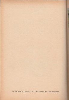 Extrait de La patrouille des Castors -6a1963- le Trophée de Rochecombe