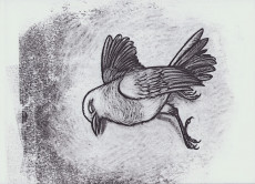Extrait de (AUT) Tirabosco - Trente oiseaux morts