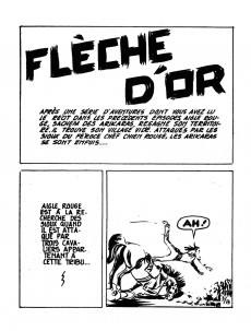 Extrait de Flèche d'Or -13- Numéro 13