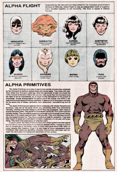 Extrait de (DOC) Official handbook of the Marvel Universe Vol.1 (1983) -1- A: From Abomination to Avengers Quinjet