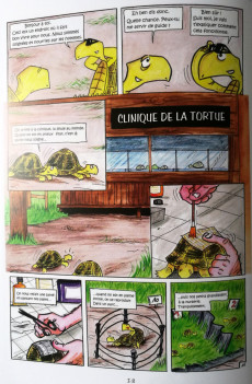 Extrait de La tortue d'Hermann -1- Bonheurs et malheurs de la tortue d'Hermann