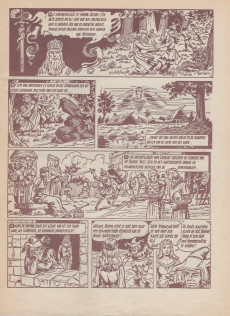 Extrait de Rode Ridder (De) -23a1976- Hugon de Hofnar