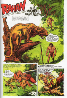 Extrait de Rahan - La Collection (Hachette) -20- Tome 20
