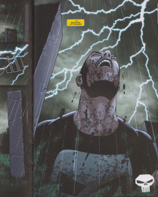 Extrait de Marvel Comics : La collection (Hachette) -173144- Le Punisher : Sur la route