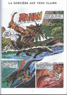 Extrait de Rahan - La Collection (Hachette) -29- Tome 29