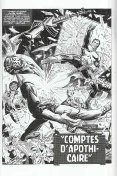 Extrait de The punisher (Intégrale) -1- 1974-1981