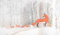 Extrait de (AUT) Garoche - Fox's garden